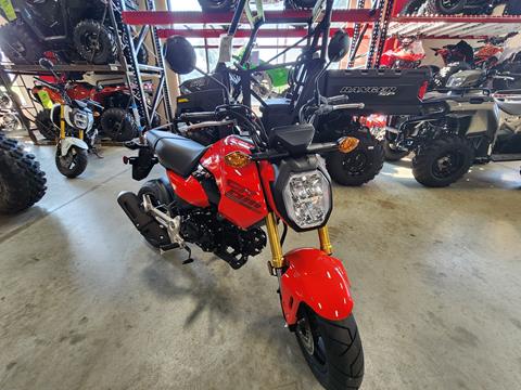 2025 Honda Grom in Auburn, Massachusetts - Photo 3