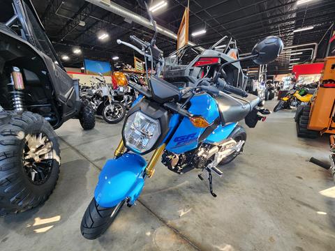 2025 Honda Grom in Auburn, Massachusetts - Photo 1