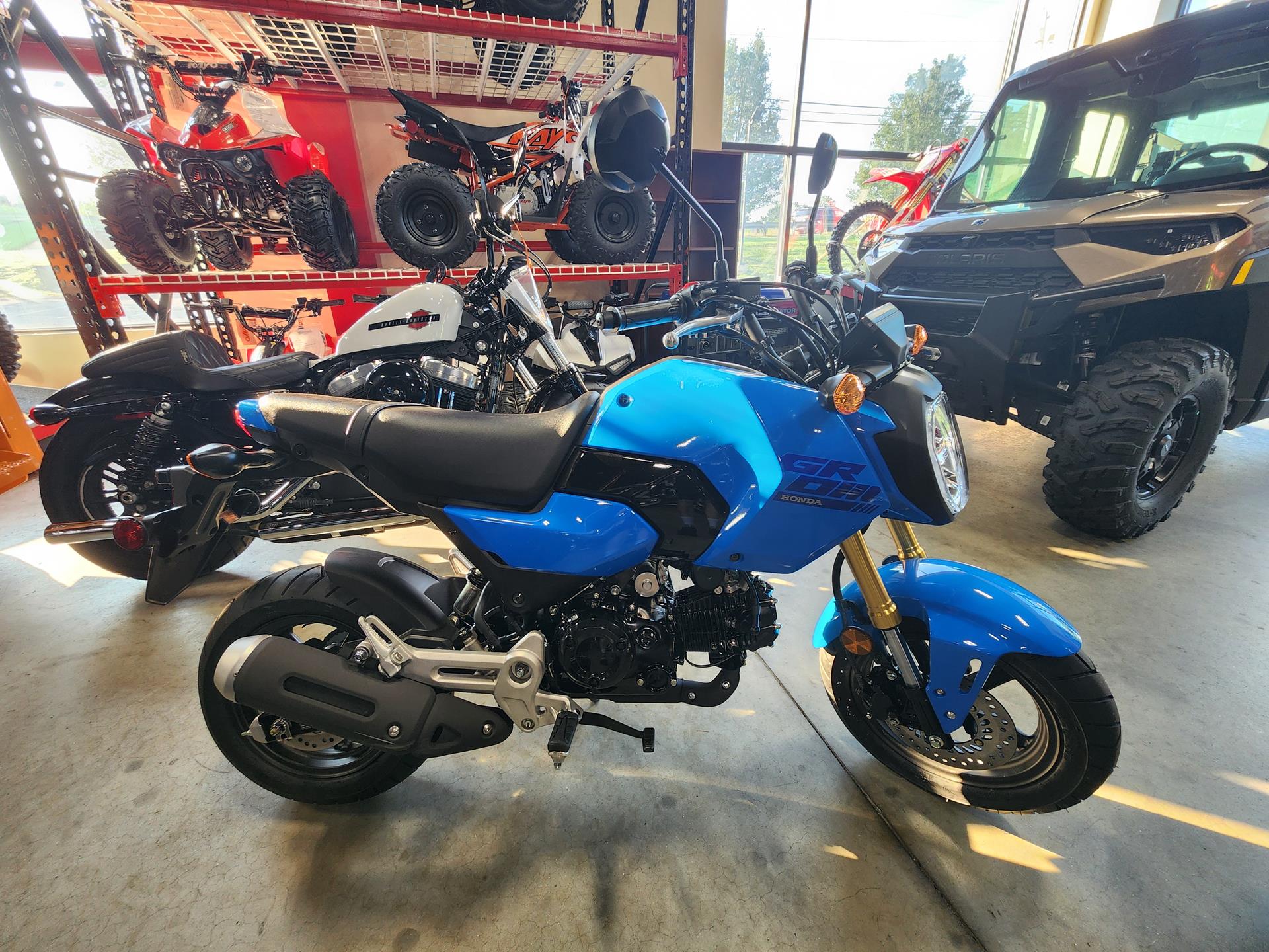 2025 Honda Grom in Auburn, Massachusetts - Photo 2