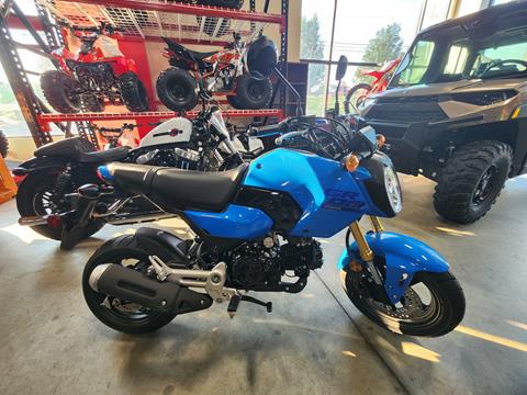 2025 Honda Grom in Auburn, Massachusetts - Photo 2
