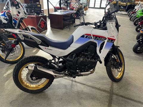 2025 Honda Transalp in Auburn, Massachusetts - Photo 1