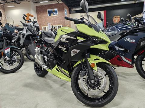 2026 Kawasaki Ninja 500 ABS — photo 1 of 17