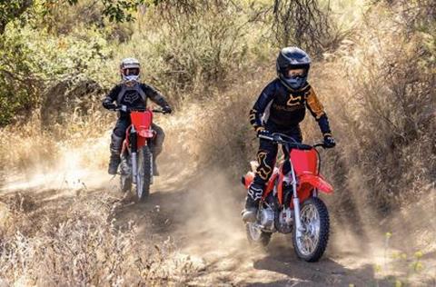 2026 Honda CRF110F in Auburn, Massachusetts - Photo 7