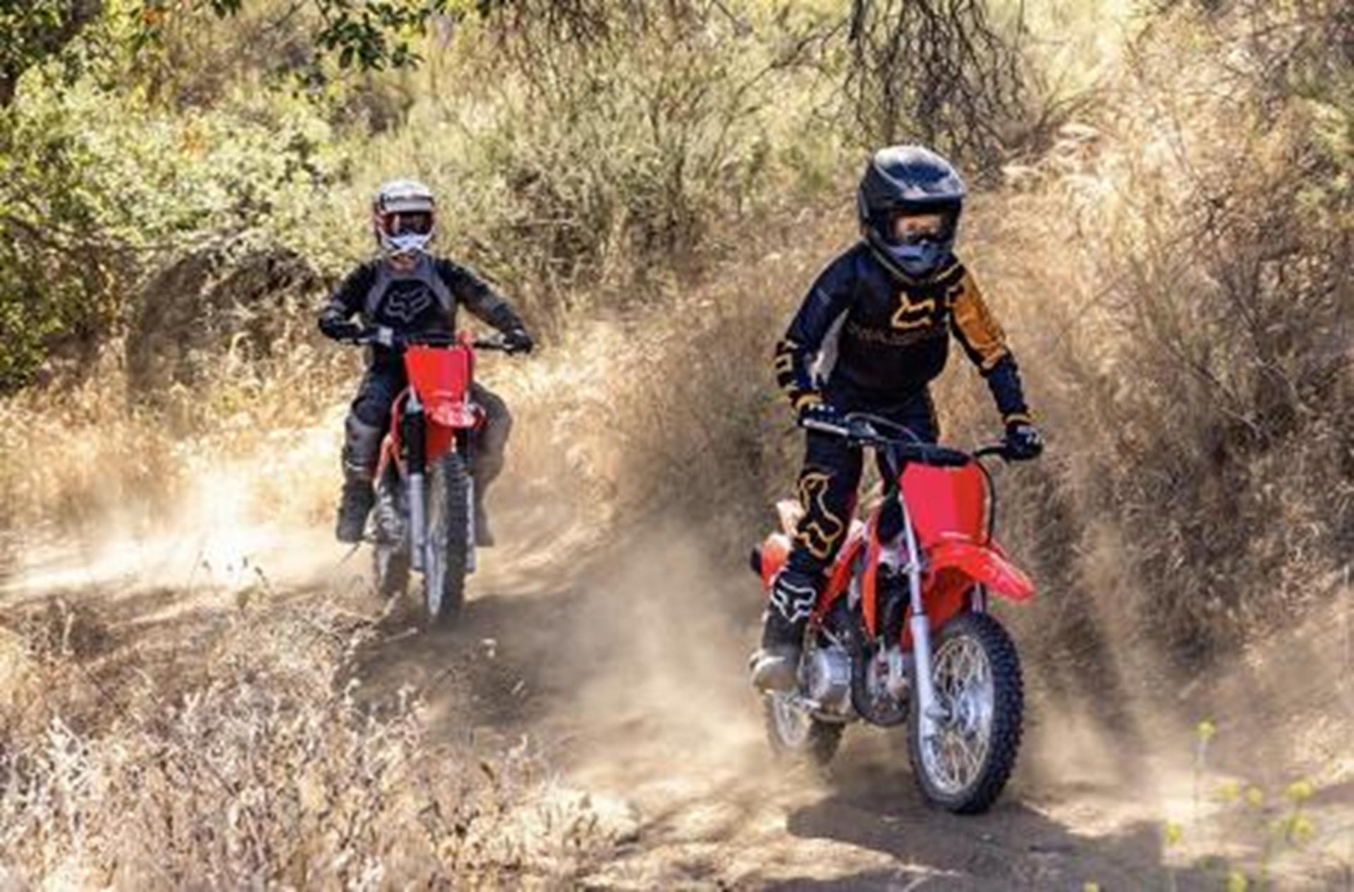 2026 Honda CRF110F in Auburn, Massachusetts - Photo 3