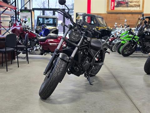 2025 Honda Rebel 500 in Auburn, Massachusetts - Photo 4