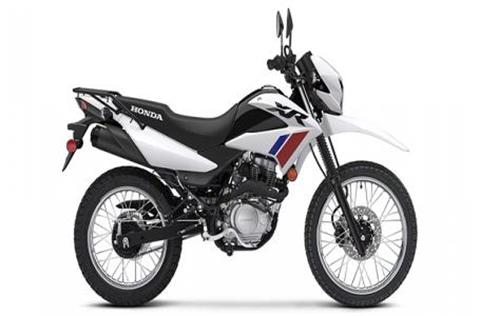2025 Honda XR150L in Auburn, Massachusetts - Photo 1