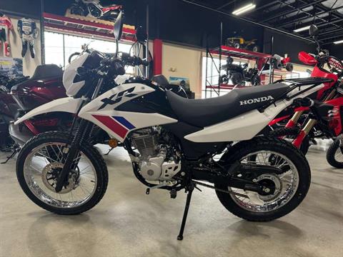 2025 Honda XR150L in Auburn, Massachusetts - Photo 1