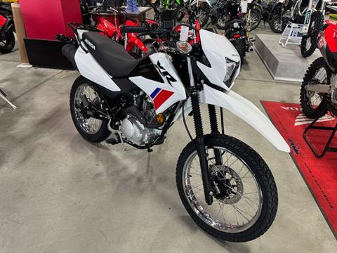 2025 Honda XR150L in Auburn, Massachusetts - Photo 2