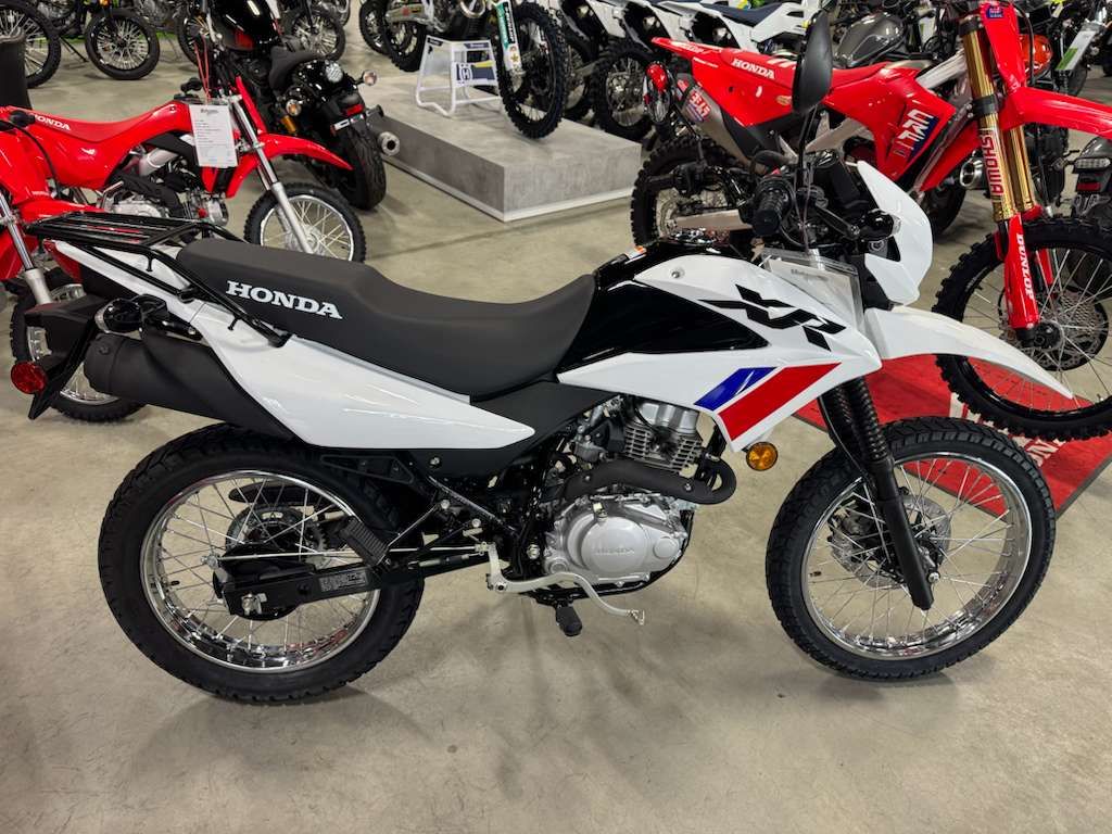2025 Honda XR150L in Auburn, Massachusetts - Photo 3