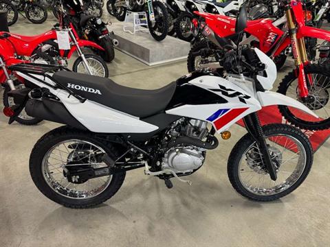 2025 Honda XR150L in Auburn, Massachusetts - Photo 3