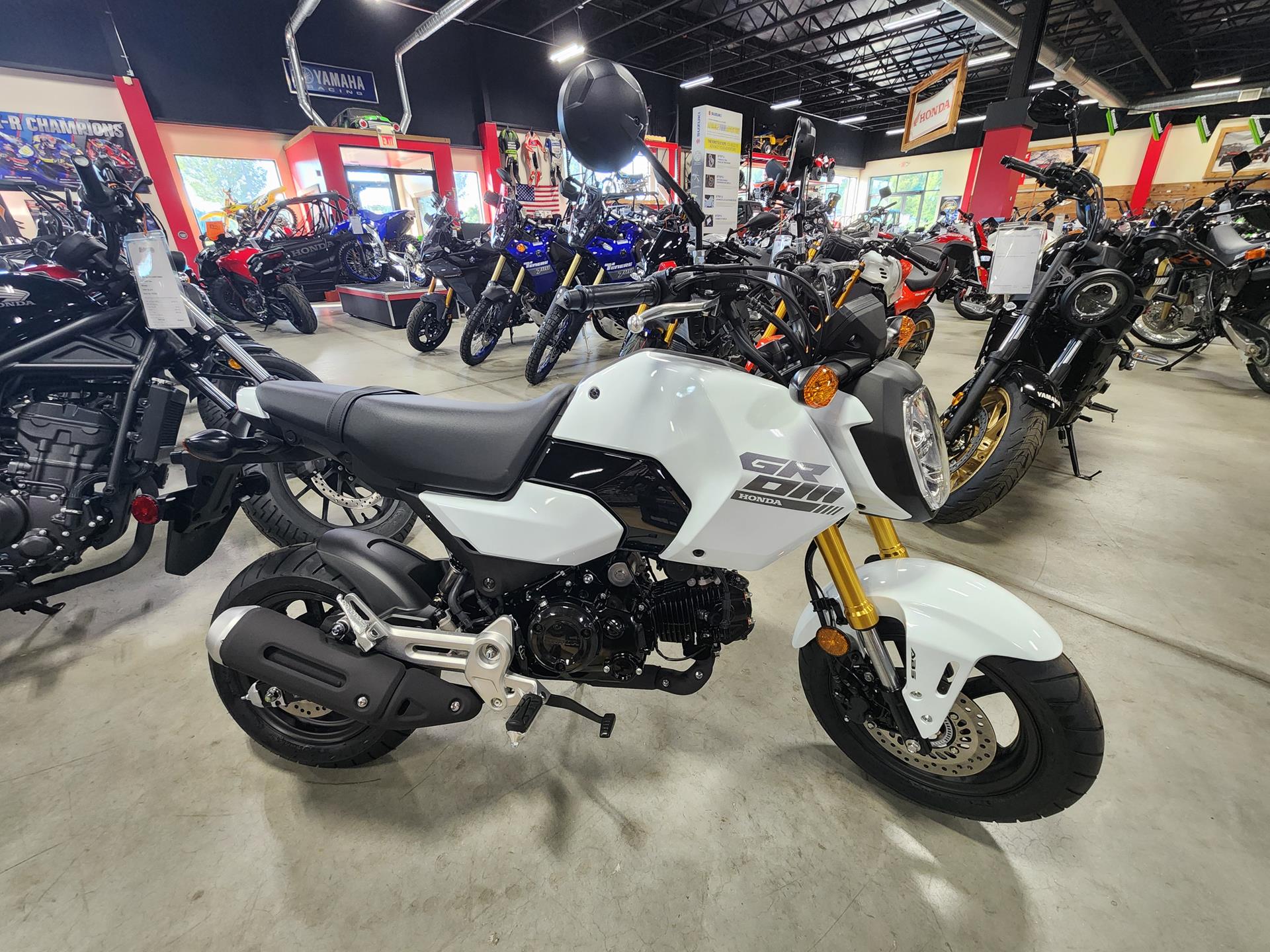 2025 Honda Grom in Auburn, Massachusetts - Photo 1