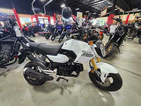 2025 Honda Grom in Auburn, Massachusetts - Photo 1