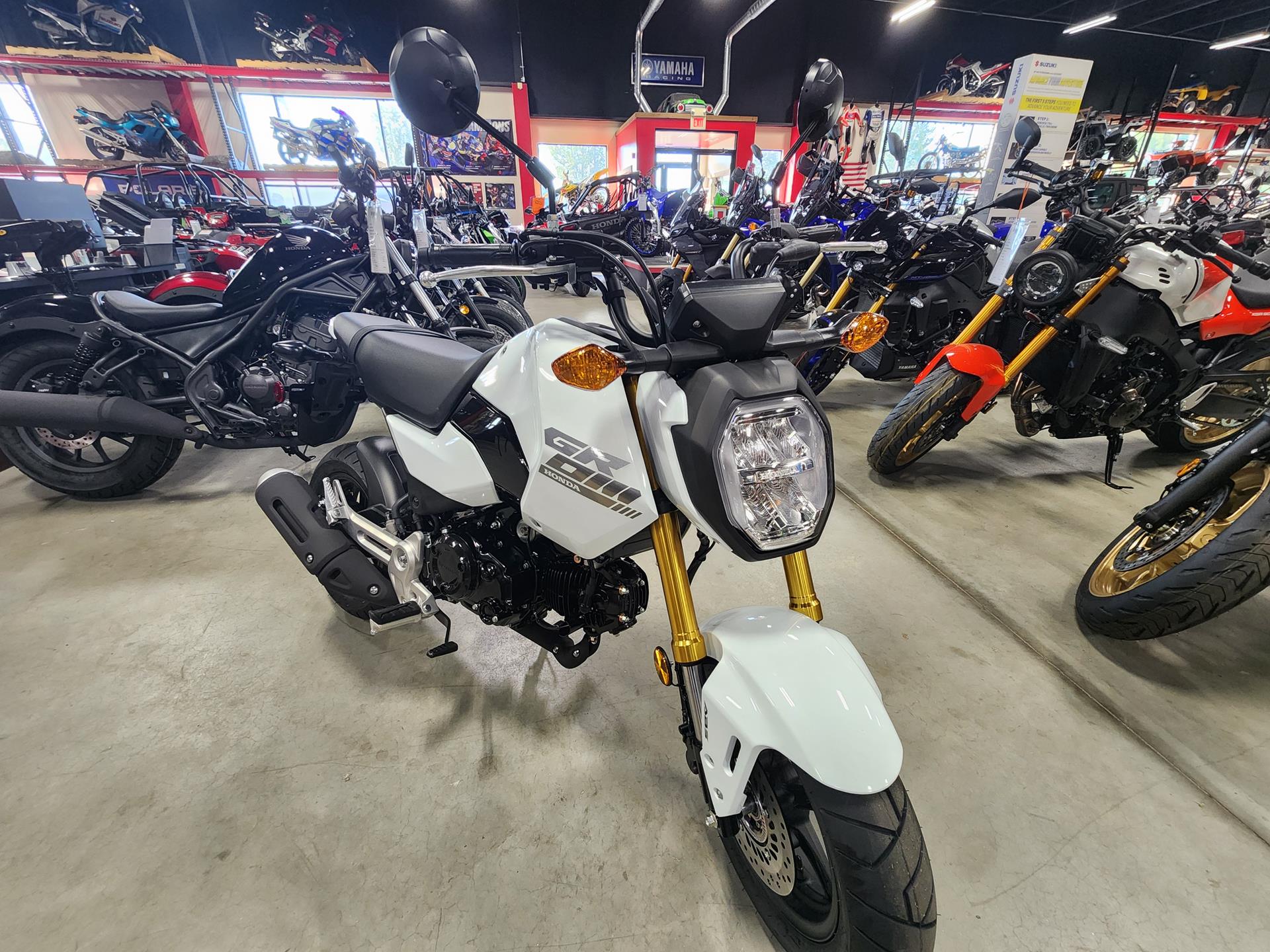 2025 Honda Grom in Auburn, Massachusetts - Photo 4