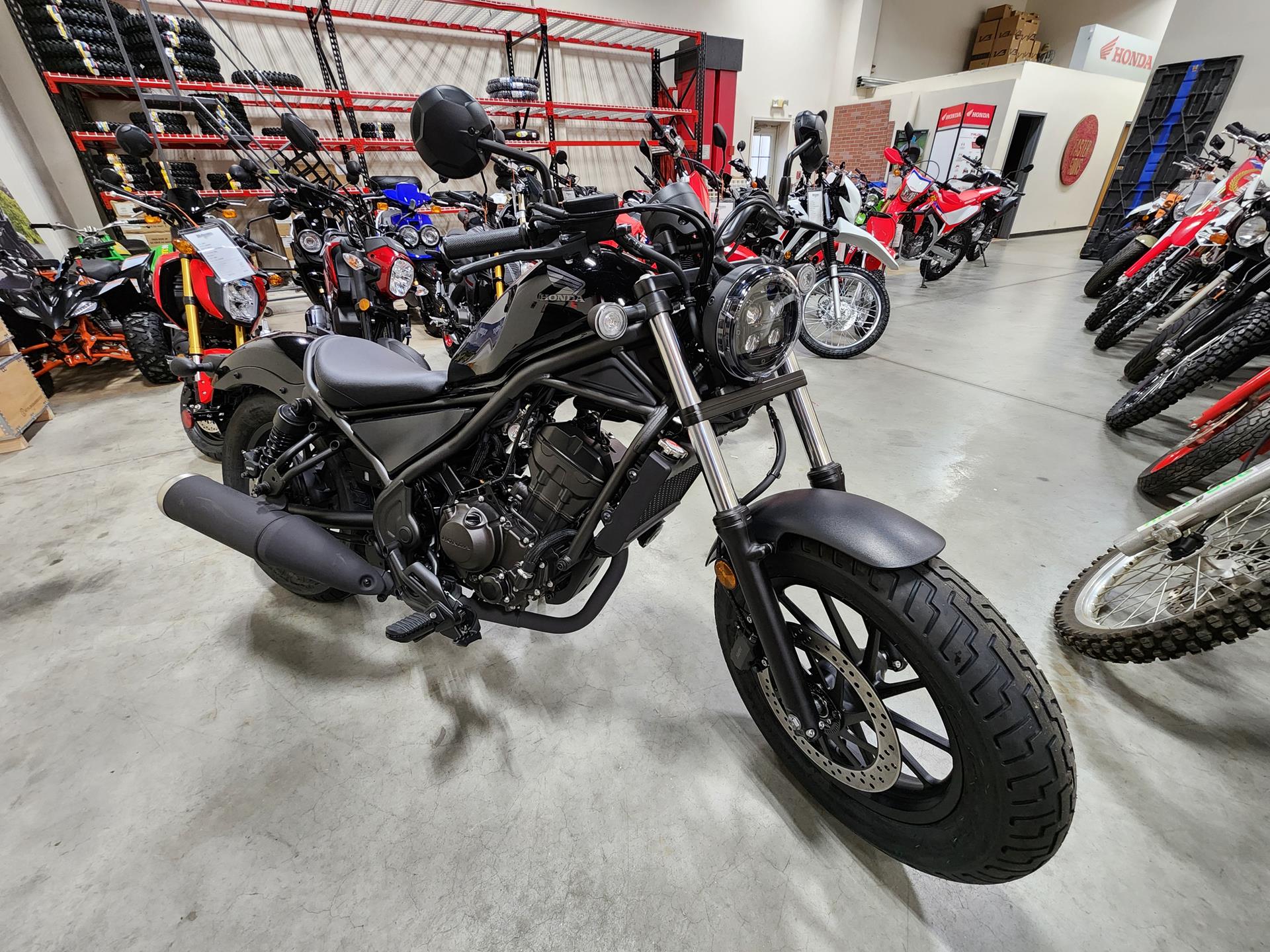 2024 Honda Rebel 300 in Auburn, Massachusetts - Photo 1