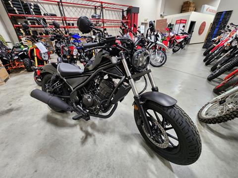 2024 Honda Rebel 300 in Auburn, Massachusetts - Photo 1
