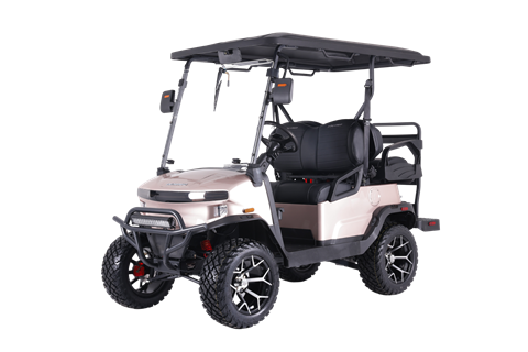 2025 Denago EV Nomad  XL Lifted 4 Seat in Madera, California - Photo 1