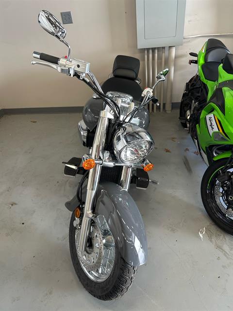2025 Suzuki Boulevard C50