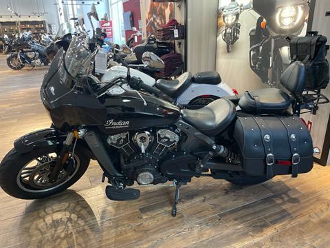 2019 Indian Scout