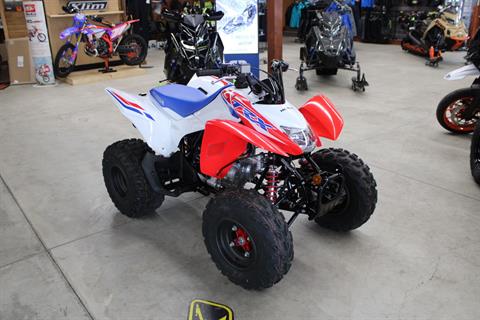 2026 Honda TRX250X in The Dalles, Oregon - Photo 1