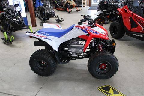 2026 Honda TRX250X in The Dalles, Oregon - Photo 4