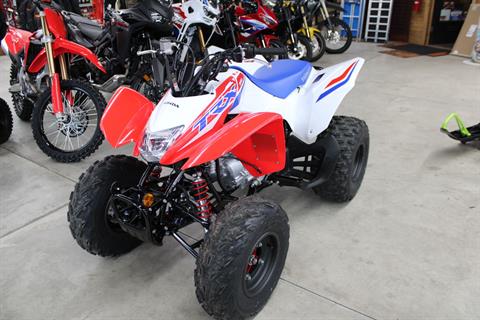 2026 Honda TRX250X in The Dalles, Oregon - Photo 3