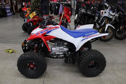 2026 Honda TRX250X in The Dalles, Oregon - Photo 8