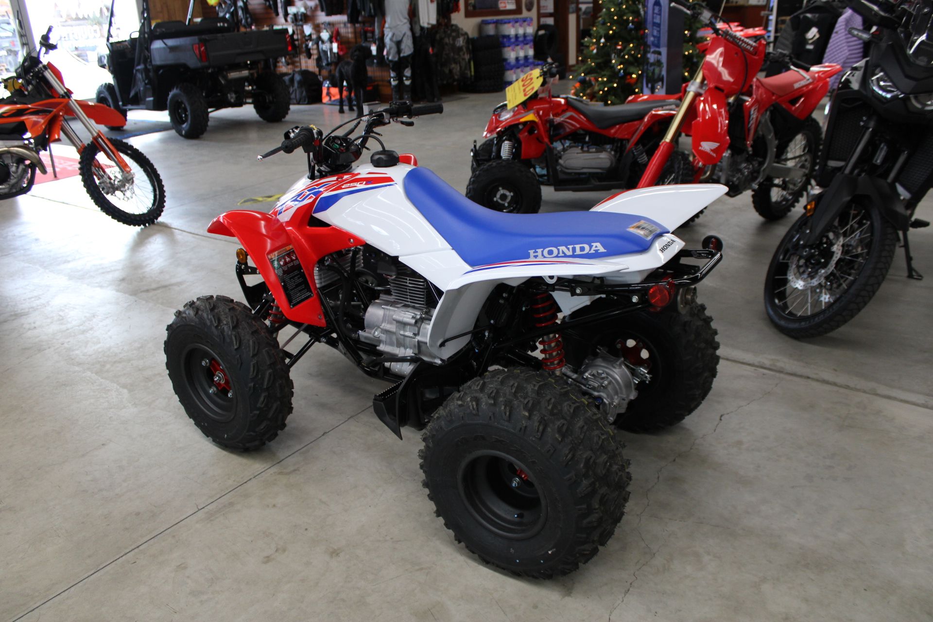 2026 Honda TRX250X in The Dalles, Oregon - Photo 6