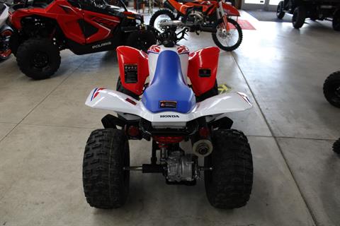 2026 Honda TRX250X in The Dalles, Oregon - Photo 7