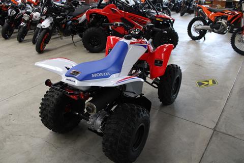 2026 Honda TRX250X in The Dalles, Oregon - Photo 5