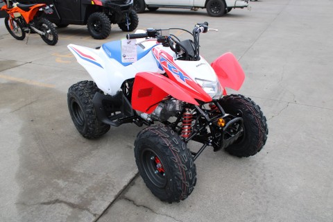 2026 Honda TRX250X in The Dalles, Oregon - Photo 3