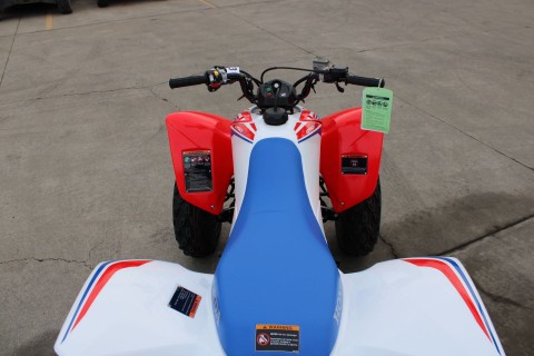 2026 Honda TRX250X in The Dalles, Oregon - Photo 9