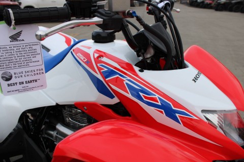2026 Honda TRX250X in The Dalles, Oregon - Photo 10