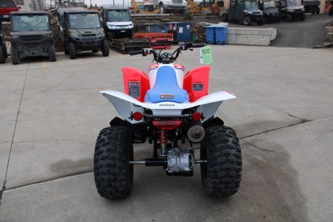 2026 Honda TRX250X in The Dalles, Oregon - Photo 6