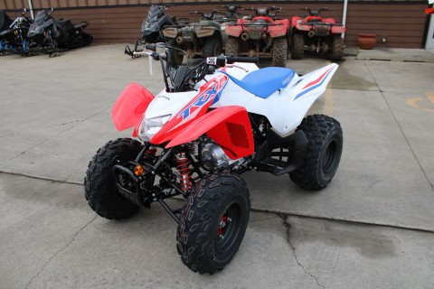 2026 Honda TRX250X in The Dalles, Oregon - Photo 3
