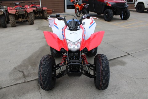2026 Honda TRX250X in The Dalles, Oregon - Photo 2