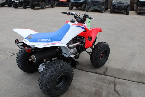 2026 Honda TRX250X in The Dalles, Oregon - Photo 5