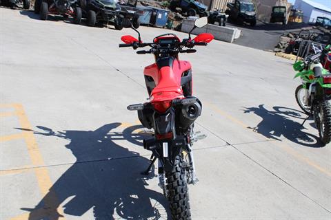 2025 Honda CRF300L ABS in The Dalles, Oregon - Photo 6