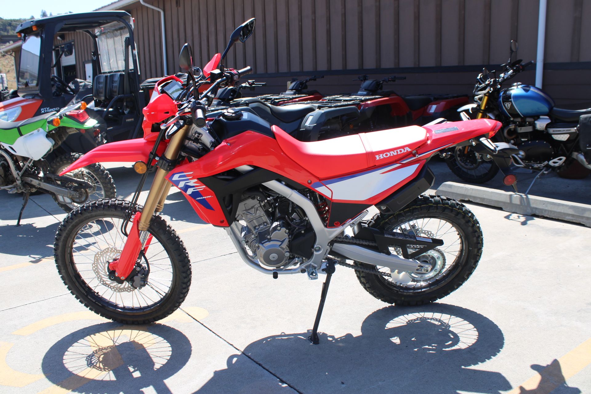 2025 Honda CRF300L ABS in The Dalles, Oregon - Photo 8