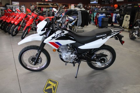 2026 Honda XR150L in The Dalles, Oregon - Photo 4