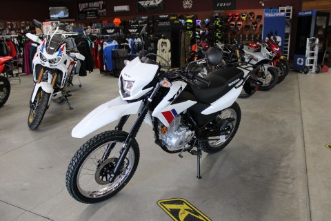 2026 Honda XR150L in The Dalles, Oregon - Photo 9