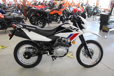 2026 Honda XR150L in The Dalles, Oregon - Photo 4