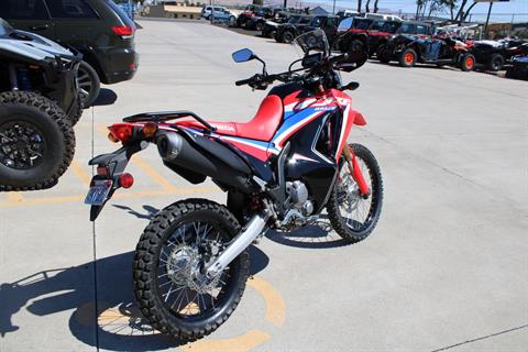 2023 Honda CRF300L Rally in The Dalles, Oregon - Photo 6