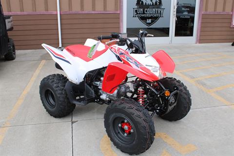 2024 Honda TRX250X in The Dalles, Oregon - Photo 1