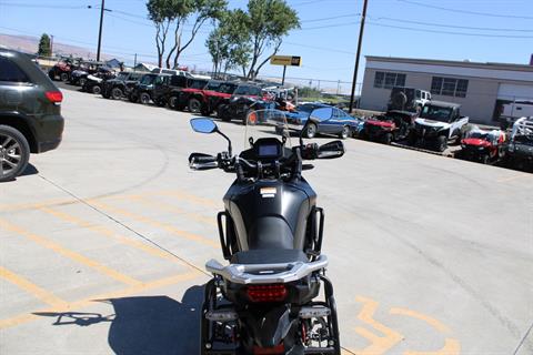 2024 Honda Transalp in The Dalles, Oregon - Photo 8