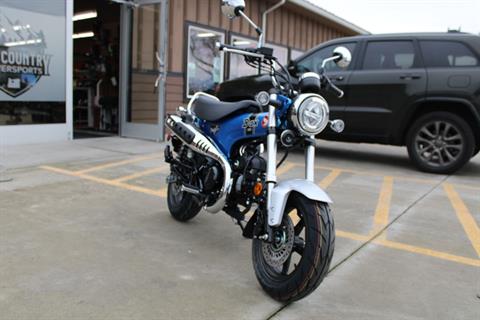 2025 Honda Dax 125 in The Dalles, Oregon