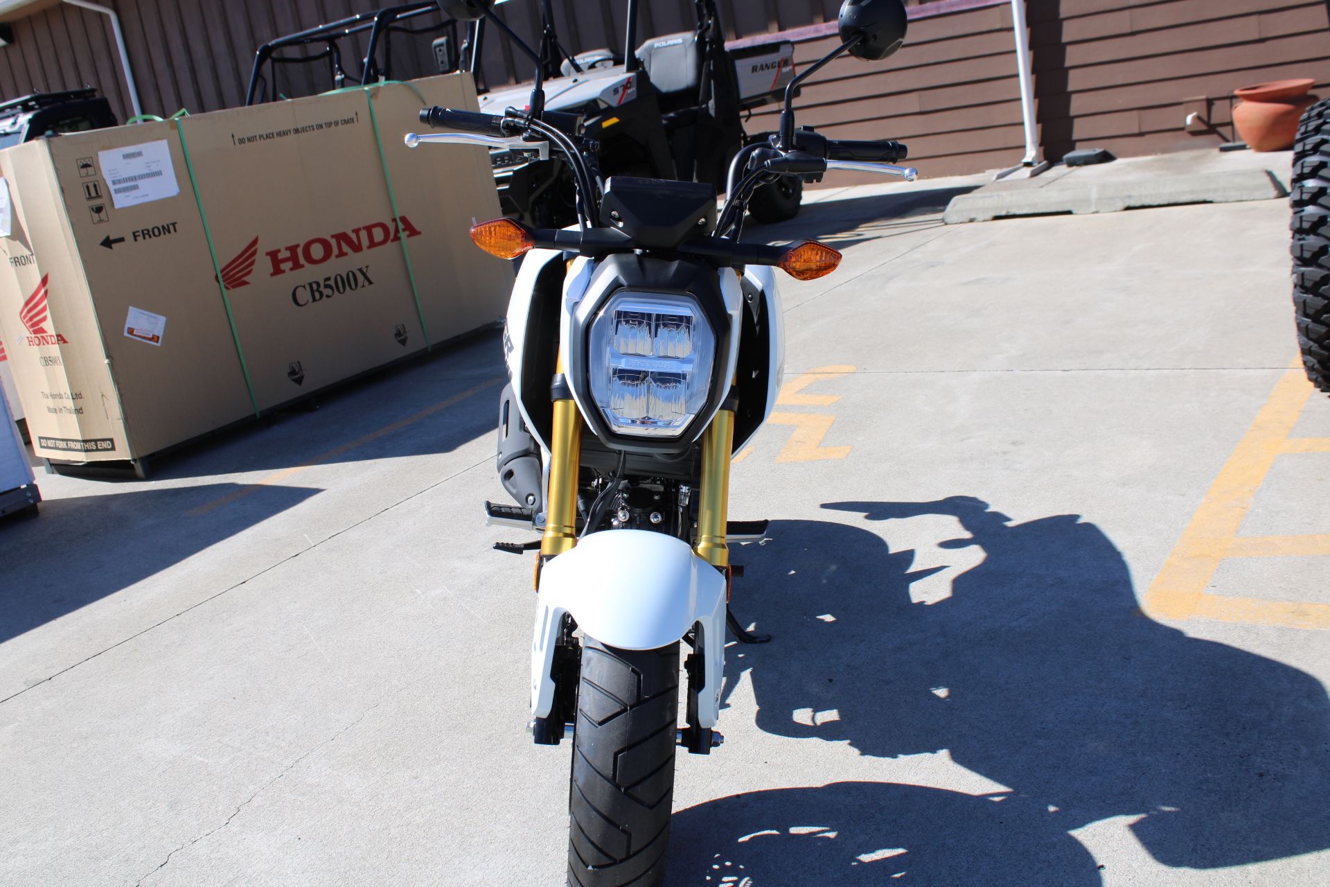 2025 Honda Grom in The Dalles, Oregon - Photo 5