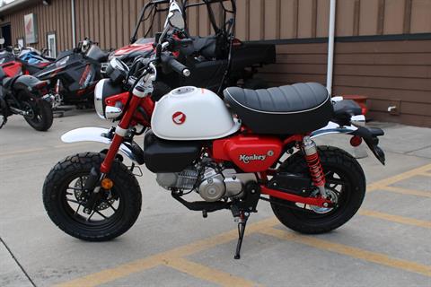 2025 Honda Monkey ABS in The Dalles, Oregon - Photo 7