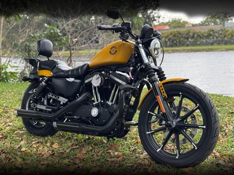 【送料込】 Used 2019 Denim Gold Rugged 883™ Iron Harley-Davidson アクセサリー