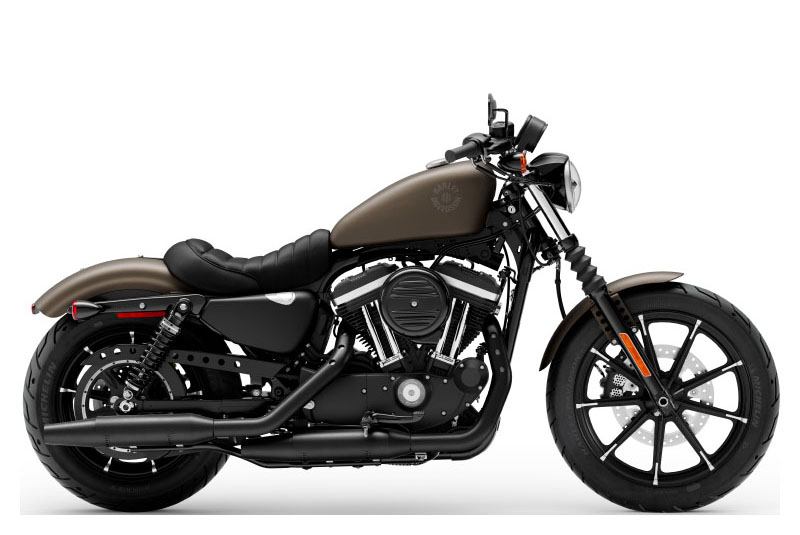 New 2021 Harley-Davidson Iron 883™ Hard Candy Quicksilver Flake