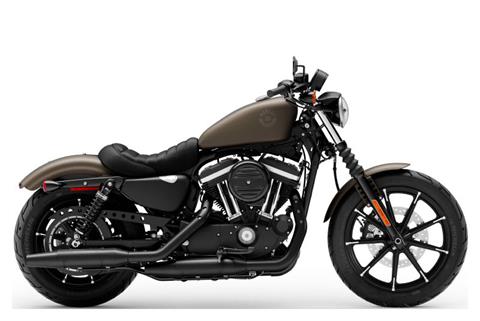 New 2021 Harley-Davidson Iron 883™ Hard Candy Quicksilver Flake